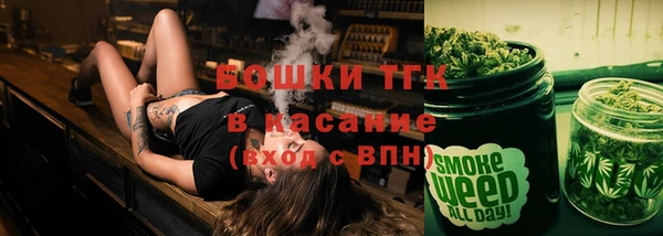 твердый Карпинск